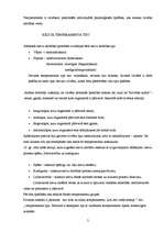 Referāts 'Temperaments. Četru tipu salīdzinājums', 3.