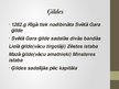 Prezentācija 'Viduslaiku Rīga', 13.