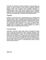 Eseja 'Filosofija kā dzīvesmāksla', 3.