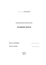 Referāts 'Enerģētiskie dzērieni', 5.