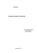 Referāts 'Vēstījuma elements - tēlojums', 1.