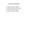 Referāts 'Vēstījuma elements - tēlojums', 11.