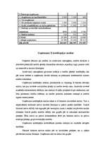 Referāts 'Uzņēmuma X kredītspējas novērtējums un tās paaugstināšanas iespēju analīze', 3.