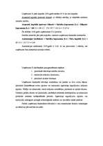 Referāts 'Uzņēmuma X kredītspējas novērtējums un tās paaugstināšanas iespēju analīze', 8.