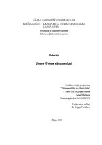 Referāts 'Zeme-ūdens siltumsūkņi', 1.