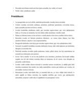 Prakses atskaite 'Prakses atskaite "Grand Resort Lagonissi"', 7.