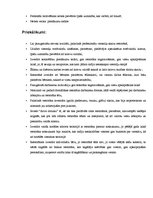 Prakses atskaite 'Prakses atskaite "Grand Resort Lagonissi"', 8.