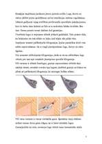 Referāts 'Esošo logu, durvju un vārtu siltināšana', 7.