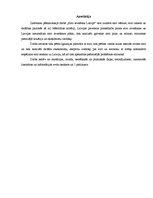 Referāts 'Eiro ieviešana Latvijā', 2.