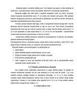 Referāts 'Eiro ieviešana Latvijā', 13.