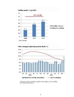 Referāts 'Eiro ieviešana Latvijā', 38.