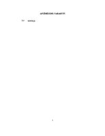 Referāts 'Latvijas televīzijas mediju loma sabiedrības veidošanā', 3.