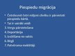 Prezentācija 'Migrācijas veidi', 3.