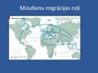 Prezentācija 'Migrācijas veidi', 12.