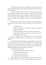 Referāts 'Personāla vadība', 17.