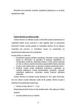 Referāts 'Pašvaldības šķēlums, Olaine', 12.