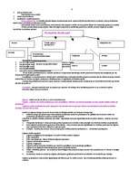 Konspekts 'Tiesību teorija', 4.