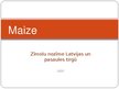 Prezentācija 'Maize, zīmola nozīme Latvijas un pasaules tirgū', 1.