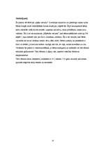 Referāts 'Bērnu kognitīvā attīstība', 14.