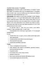 Referāts 'Bērnu kognitīvā attīstība', 15.