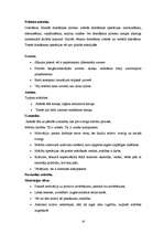 Referāts 'Bērnu kognitīvā attīstība', 16.