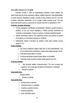 Referāts 'Bērnu kognitīvā attīstība', 19.