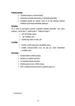 Referāts 'Bērnu kognitīvā attīstība', 20.