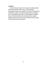 Referāts 'Bērnu kognitīvā attīstība', 23.