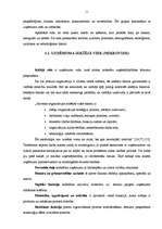 Referāts 'Mazo un vidējo uzņēmumu attīstības iespējas Cēsīs un Cēsu rajonā', 6.