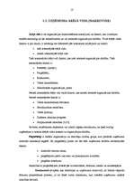 Referāts 'Mazo un vidējo uzņēmumu attīstības iespējas Cēsīs un Cēsu rajonā', 8.