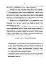 Referāts 'Mazo un vidējo uzņēmumu attīstības iespējas Cēsīs un Cēsu rajonā', 45.