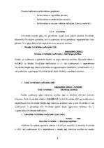 Referāts 'SIA "Māris&Co" finanšu analīze', 6.