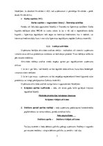 Referāts 'SIA "Māris&Co" finanšu analīze', 7.