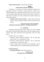 Referāts 'SIA "Māris&Co" finanšu analīze', 9.