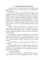 Referāts 'SIA "Māris&Co" finanšu analīze', 12.