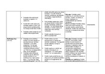 Paraugs 'Stundu plānojums 2.klasei Dabaszinībās', 9.