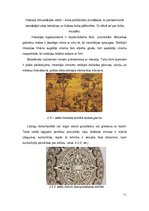 Konspekts 'Sagatavju pirmapstrāde. Otrā daļa', 11.