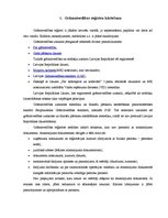 Referāts 'Grāmatvedības dokumenti', 8.