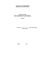 Referāts 'Dabas katastrofas, to pārvaldīšana', 1.