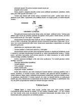 Referāts 'Valūta', 3.