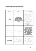 Konspekts 'Personības problēma sociālā psiholoģijā', 4.