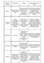 Konspekts 'Personības problēma sociālā psiholoģijā', 8.