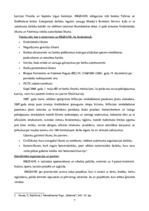 Prakses atskaite 'A/s "Bigbank" Latvijas filiāle', 7.