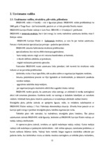 Prakses atskaite 'A/s "Bigbank" Latvijas filiāle', 12.