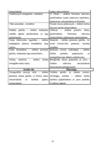 Prakses atskaite 'A/s "Bigbank" Latvijas filiāle', 19.