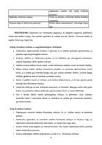 Prakses atskaite 'A/s "Bigbank" Latvijas filiāle', 21.