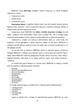 Prakses atskaite 'A/s "Bigbank" Latvijas filiāle', 22.