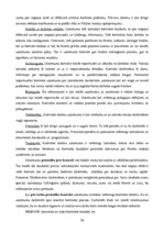 Prakses atskaite 'A/s "Bigbank" Latvijas filiāle', 26.