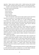 Prakses atskaite 'A/s "Bigbank" Latvijas filiāle', 33.