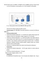Prakses atskaite 'A/s "Bigbank" Latvijas filiāle', 39.